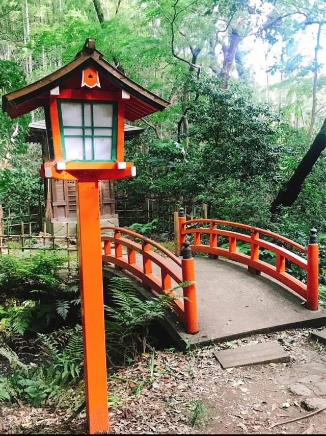 都内にある隠された秘境🫧緑豊かな渓谷🌿🕊‎【等々力】