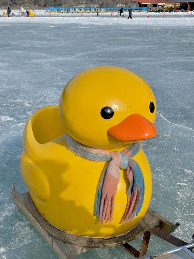 이번주가 마지막이라는 포천 산정호수 썰매축제🥹❄️