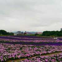 ［古亭站 景點］運動健身好去處 ~ 古亭河濱公園
