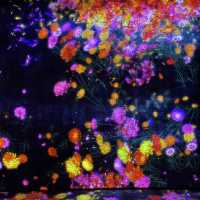 全亞洲最大TeamLab! 