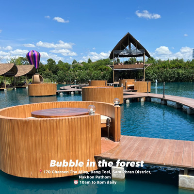 Bubble forest discount