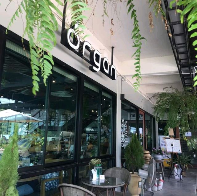 Organ by SmartNineFarm ร้านอาหารเพื่อคนรักสุขภาพ​