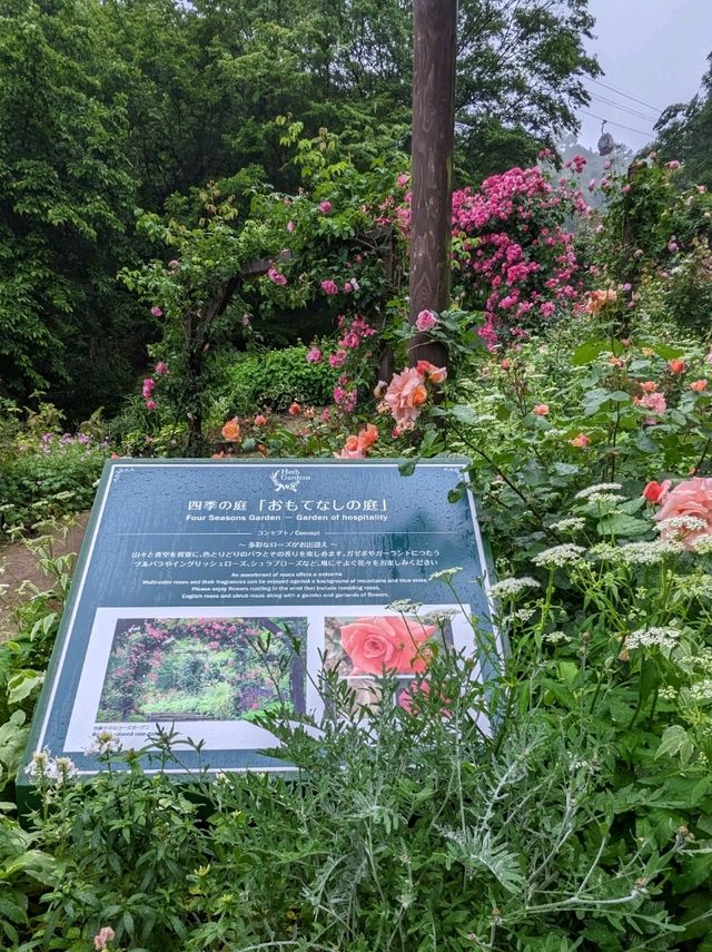 【雨の日で幻想的なハーブ園】神戸布引ハーブ園