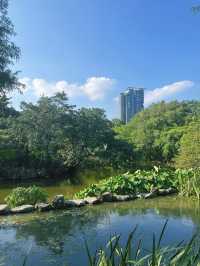 《台北》逃離繁忙都市生活 佔地超大的城市綠洲-大安森林公園