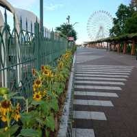 愛知旅行「岩ケ池公園」