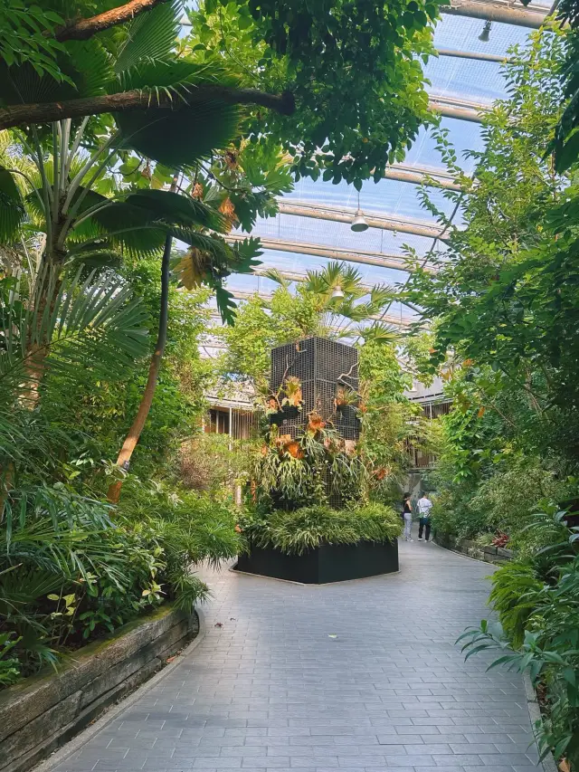 《台北》花博城市綠洲 免費森林系室內景點-台北典藏植物園