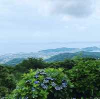 三ヶ根山スカイライン