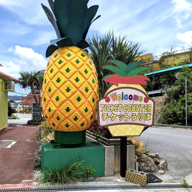 名護菠蘿園-沖繩名護以菠蘿做主角的主題公園