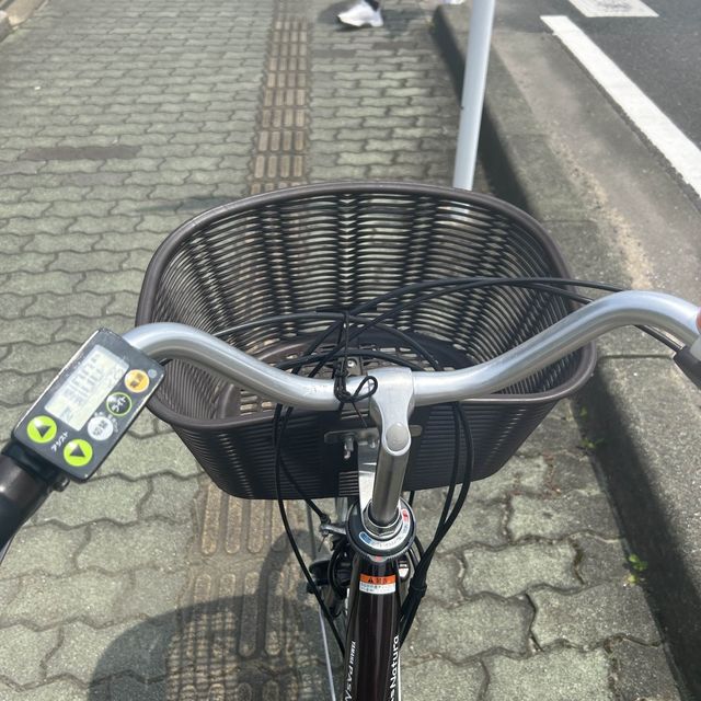 대마도 당일치기 여행 코스 zip🩵
