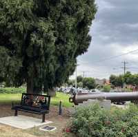 Beautiful Park in Melbourne 