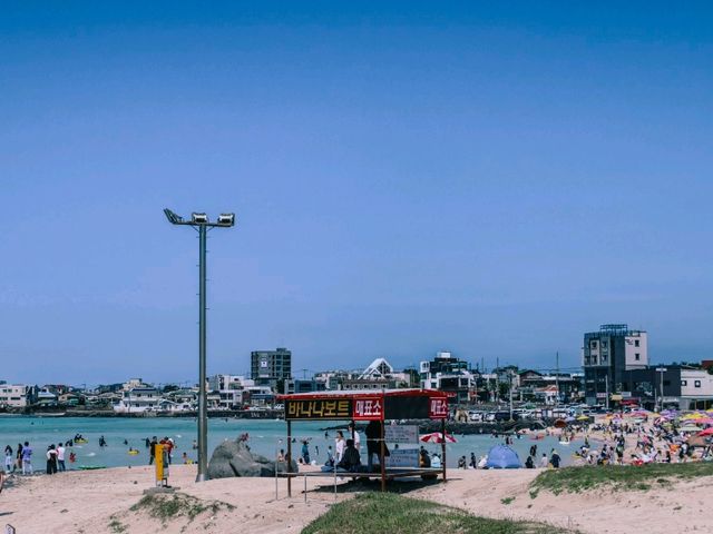 제주의 파란색 물감을 바다에 풀어놓은 협재, 금능 ⛱️ 