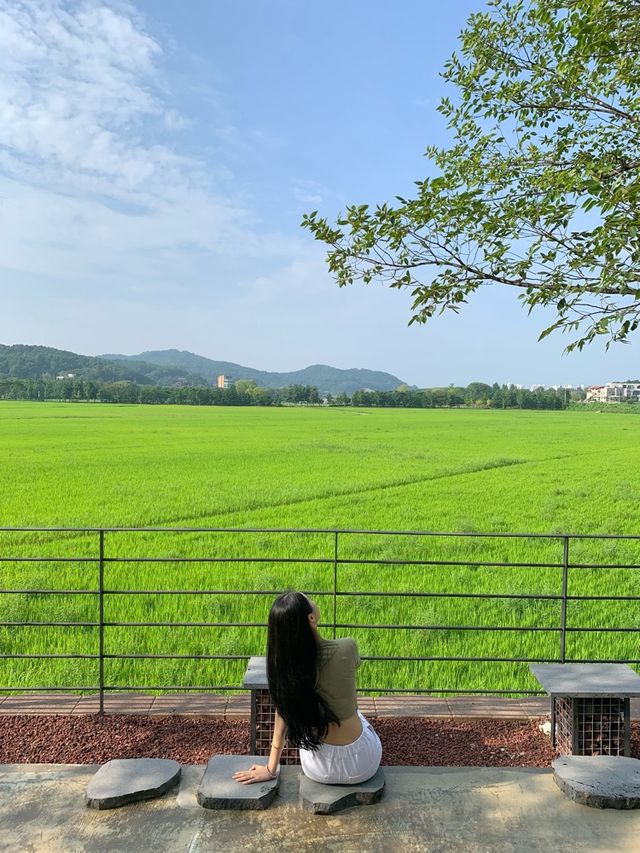아산 신상카페! 눈이 맑아지는 기분은 덤 🫣