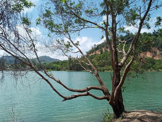 • ลิวง สวิตเซอร์แลนด์แดนจะนะ 🌲🪵