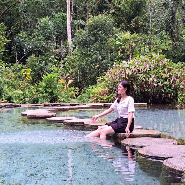 ป่าต้นน้ำ บ้านน้ำราด จังหวัดสุราษฎร์ธานี