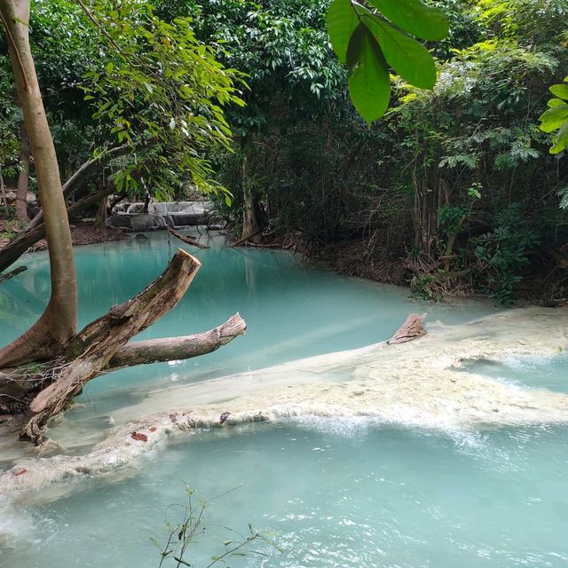 สวนรุกขชาติวังก้านเหลือง