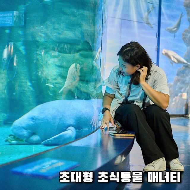 동심 찾으러 떠나요, 코엑스 아쿠아리움 🫧
