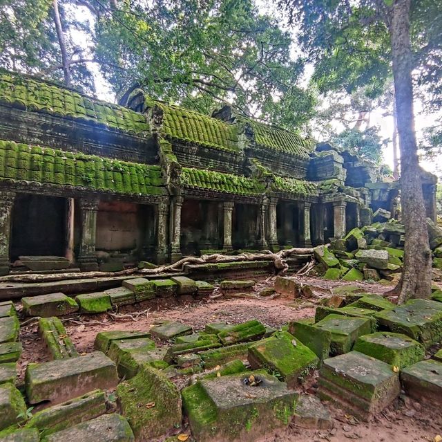 Ta Prohm: Jungle temple enveloped by nature