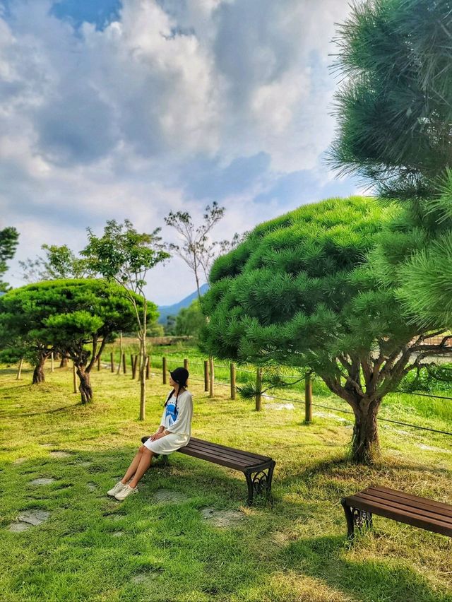 영광의 대표적인 여행지 불갑사 테마공원🌲