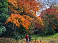 📍Koishikawa Korakuen Garden 🇯🇵