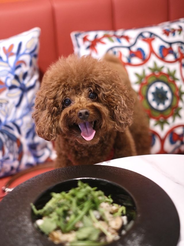 華麗西班牙菜自助餐
