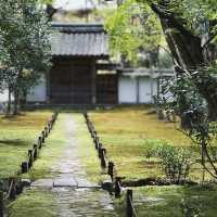 苔寺🕉充滿意境的「西芳寺」