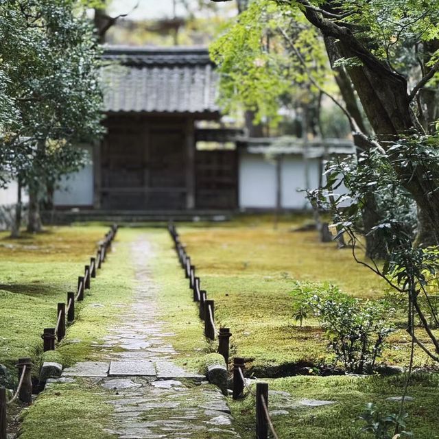 苔寺🕉充滿意境的「西芳寺」