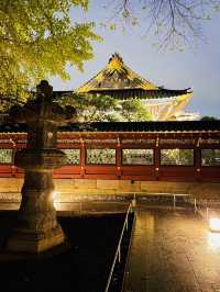 【東京都/上野東照宮】夢叶う光の夜