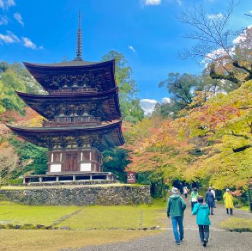 Saimyoji Serenity: Autumn's Radiance Revealed