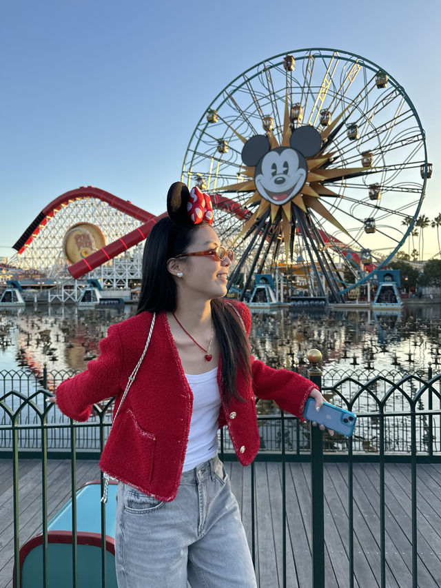 🎡❤️Disney California Adventure