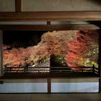 【京都】絶景！瑠璃光院の紅葉