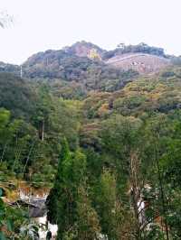 深山老林寺廟