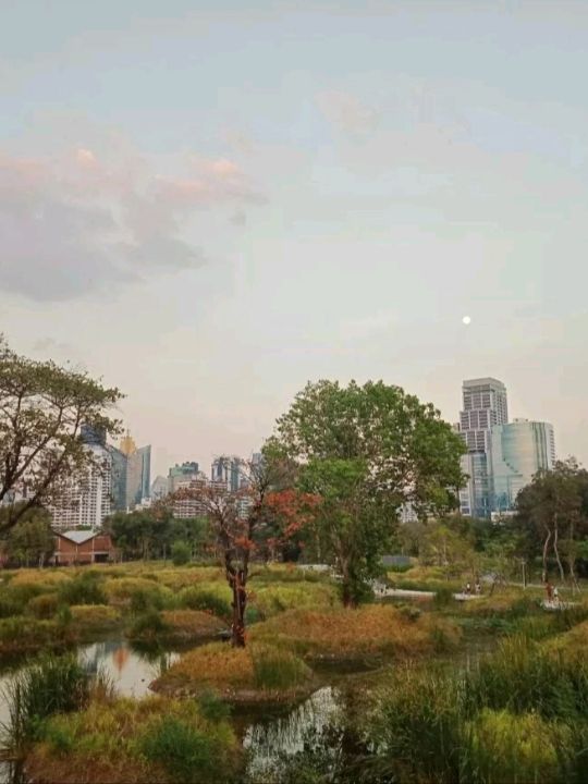 Benjakiti park the green place in Bangkok