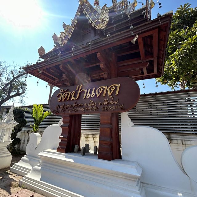 วัดป่าแดด โชคลาภไหลมาเทมา