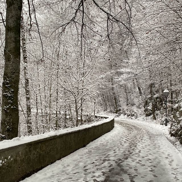 雪の中のホーエンシュバンガウ城❄️