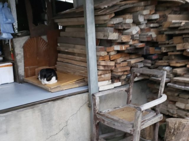假日大澳棚屋打咭及掃街半天遊