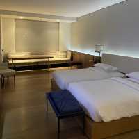 BEST HOTEL IN Delhi 🇮🇳 Andaz Hotel Aerocity