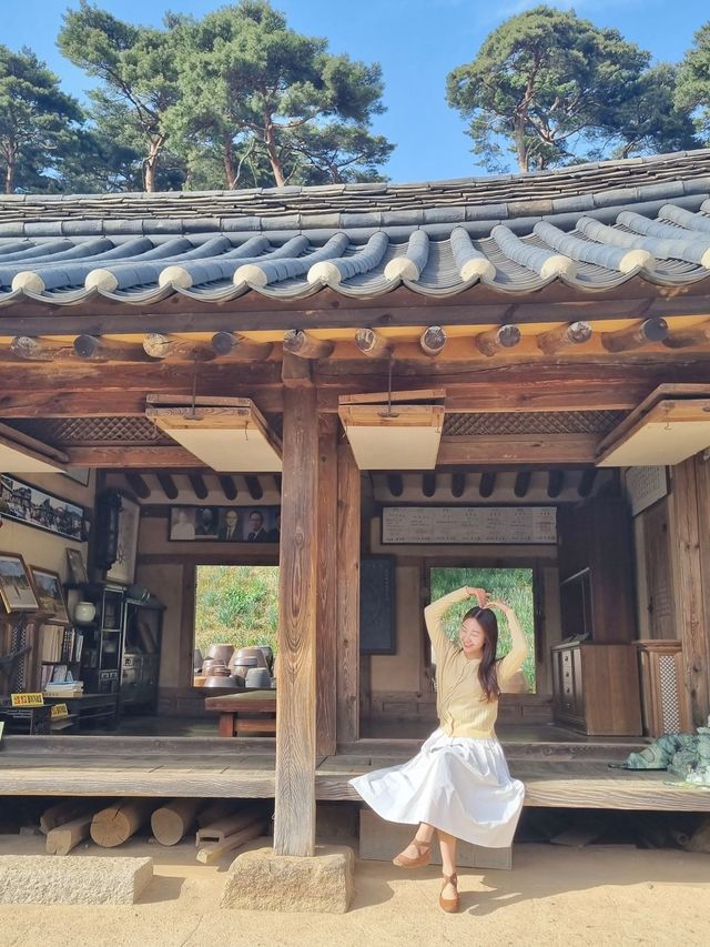 💛서산 유기방가옥 수선화축제💛
