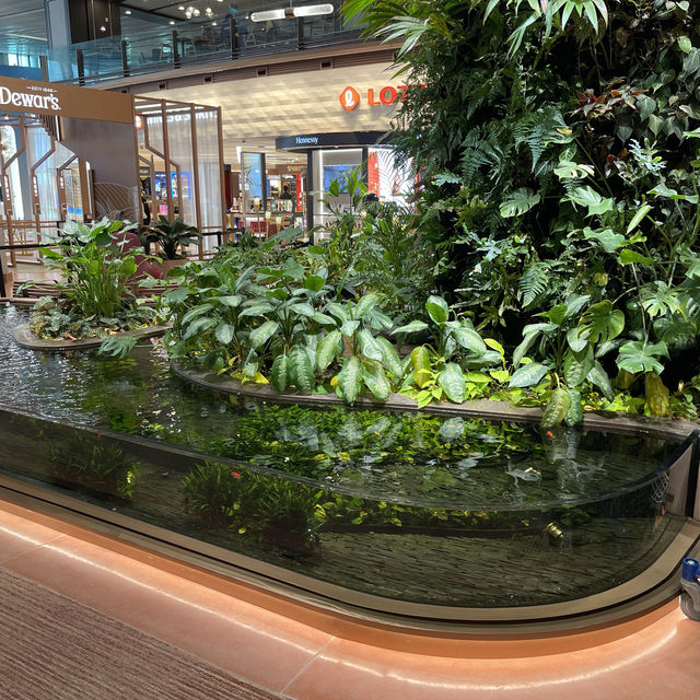 Changi Airport Terminal 1 transit