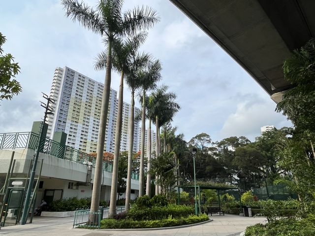 走訪曾大屋，以及旁邊嘅曾大屋遊樂場