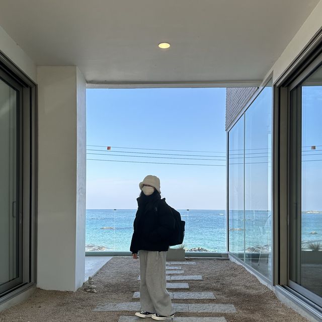 강원도 푸른바다뷰 감상하기 좋은 카페🌊