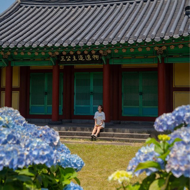 파란 수국이 가득한 혼인지🩵