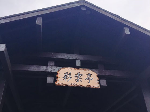 台北必去景點🐱貓空泡茶🍵