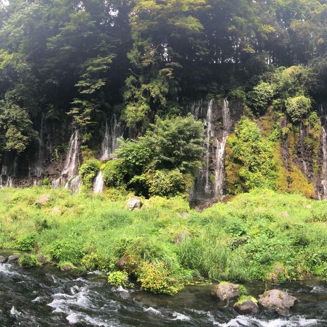 【静岡】白糸・音止の滝