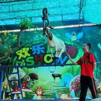 奇妙的深圳觀瀾海洋世界