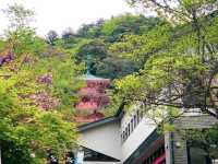 สวนสาธารณะกิฟุ (Gifu Park)🌳🌿