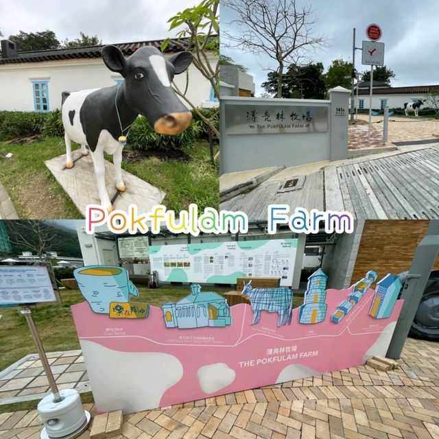 Pokulam @,@ farm