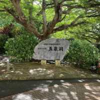 沖縄本島「玉泉洞」地底の絶景！幻想的な空間