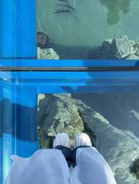 แนะนำพิกัดที่เที่ยวปูซาน Oryukdo Skywalk 🌼🌿🌊