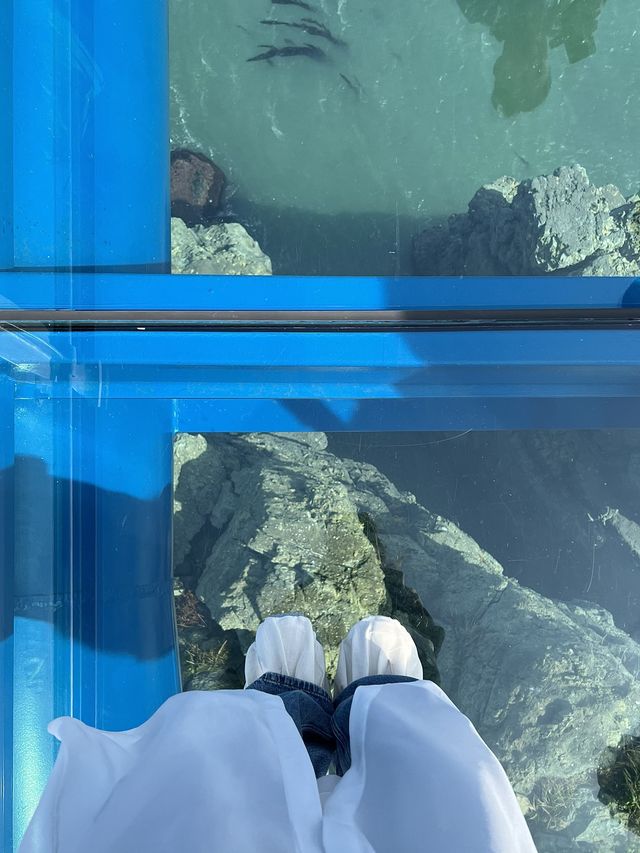 แนะนำพิกัดที่เที่ยวปูซาน Oryukdo Skywalk 🌼🌿🌊