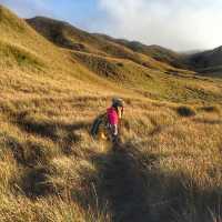 SEA OF CLOUDS, MT.PULAG⛰️